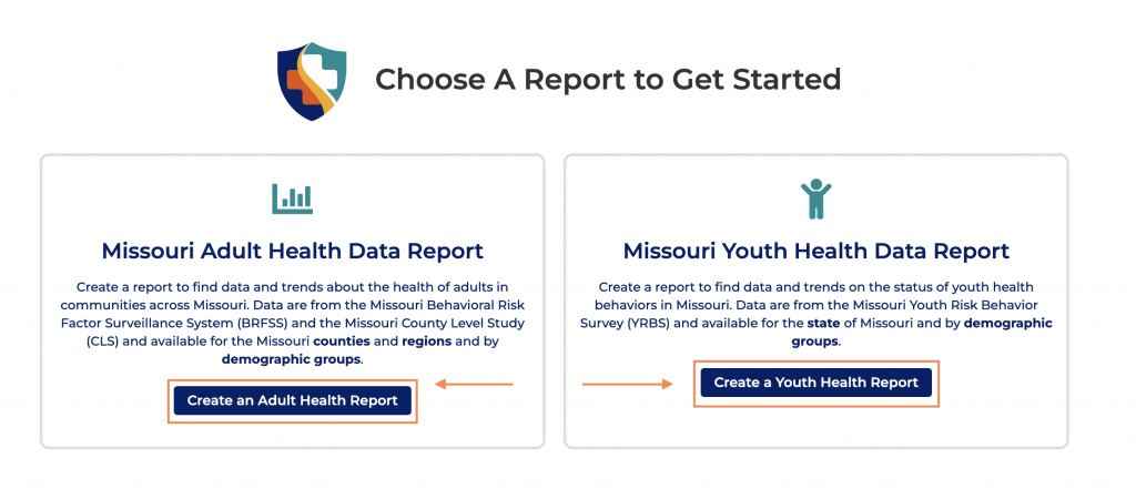 Screenshot of the two MO Health Data report options
